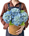 Light Blue Flowers Hydrangea Artificial Flowers, 4PCS 21" Latex Real Touch Vintage Lifelike Silk Flowers,Faux Hydrangea Bouquet Fake Flowers for Wedding Centerpieces Tables Party Outdoor Home