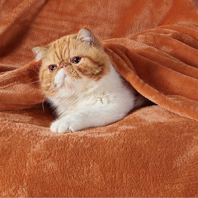 Bedsure GentleSoft Fleece Throw XL Blanket Orange - Image 2