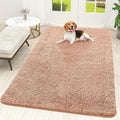 OLANLY Dog Door Mat for Muddy Paws 70x46, Super Absorbent Chenille Mud Mat | by OLANLY
