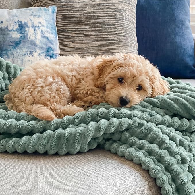 Bedsure Soft Sage Green Throw Blanket - Image 9