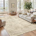Soalmost 6x9 Area Rug for Living Room Washable Non-Slip Rugs Light Brown | by Soalmost