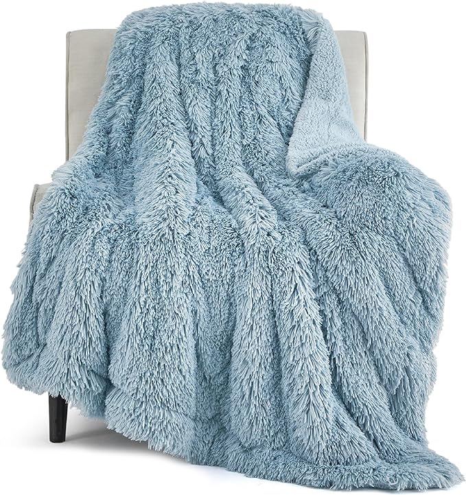 Bedsure GentleSoft Fuzzy Sherpa Faux Fur Blue Twin Blanket Cozy Gifts by Unknown