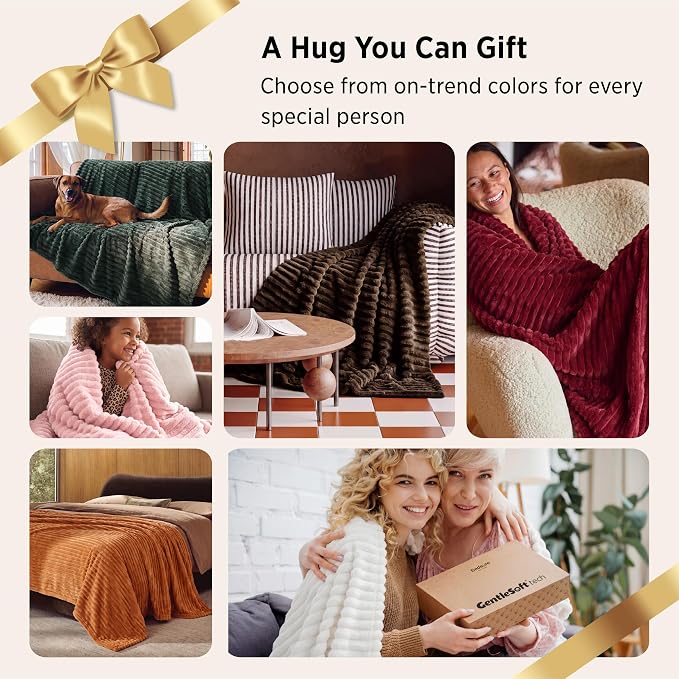 Bedsure Soft Queen Size Blanket - Image 7