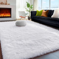 Fluffy Shaggy Area Rug 5x8, Plush Rugs by PAGISOFE
