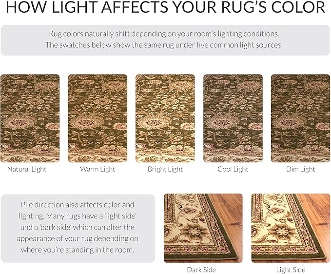 SAFAVIEH Area Rug 2x3 - Image 9
