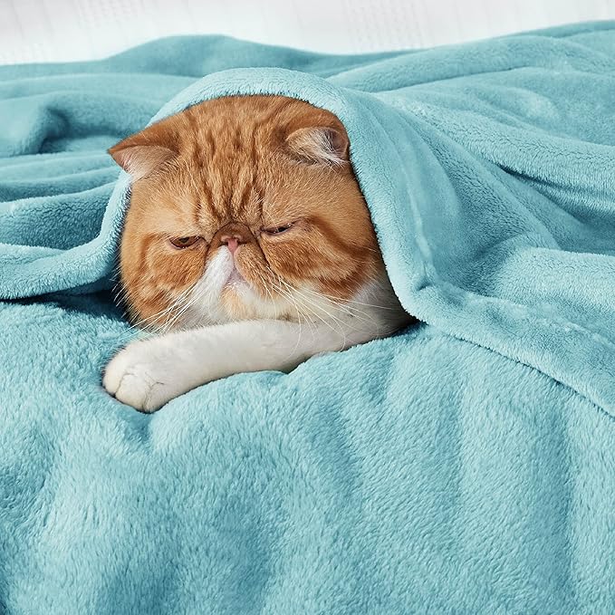 Bedsure GentleSoft Fleece Throw Blanket for Couch River Blue - Lightweight Plush Fuzzy Cozy Soft Blankets and Throws for Sofa, 50x60 inches