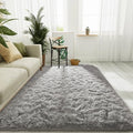 LOCHAS 4x6 Area Rugs Fluffy Living Room Carpets by LOCHAS