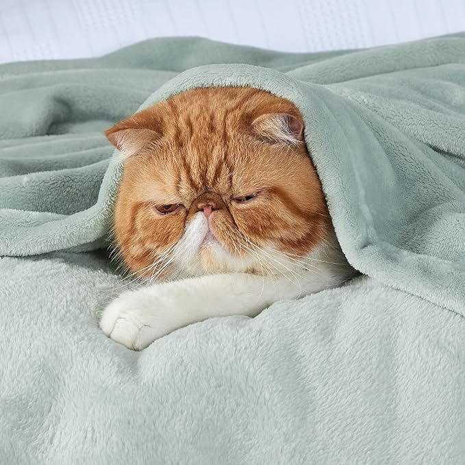 Bedsure GentleSoft Bedding Fleece Blanket - Image 6