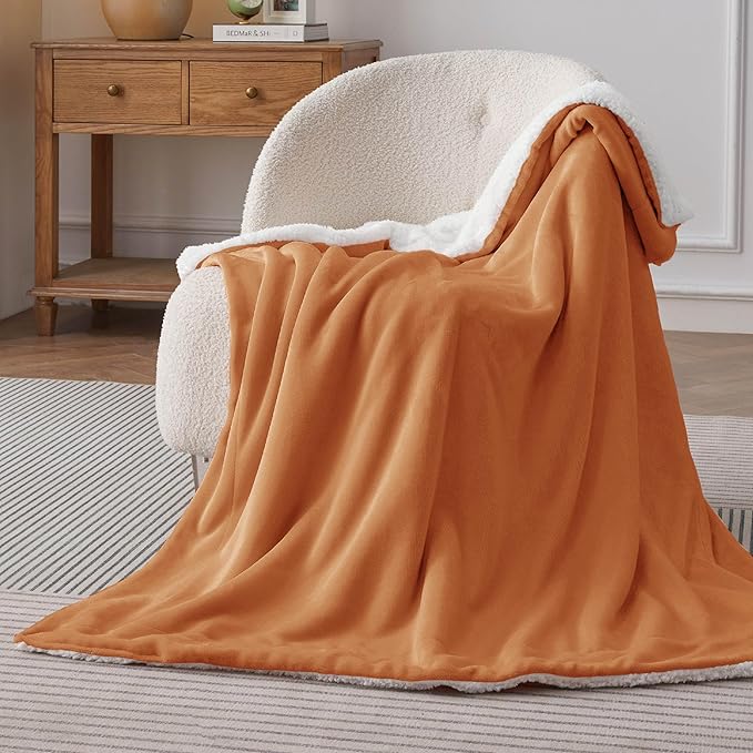 Bedsure GentleSoft Sherpa Fleece Throw Blanket Twin Size for Couch - Thick and Warm Throw for Women and Men, Soft Fuzzy Plush Twin Blanket for Winter, Burnt Orange, 60x80 Inches