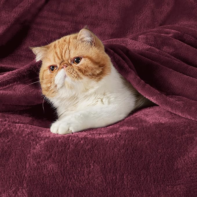 Bedsure GentleSoft Wine Red Fleece Blanket King Size - Image 2