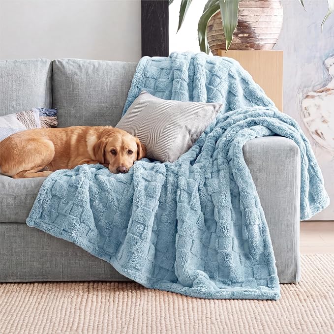 Bedsure GentleSoft Baby Blue Throw Blanket - Image 8