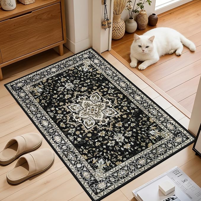 2x3 Area Rugs Living Room: Washable Rug - Image 2