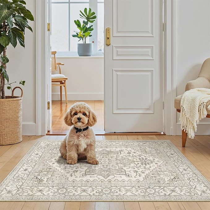 Madane Washable Area Rug 2x3 Small Entryway Rugs Non-Slip, Low Pile Floor Carpet by Madane