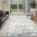 Soalmost 6x9 Area Rug for Living Room Washable Rugs Non-Slip Blue/Ivory | by Soalmost