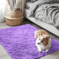 OLANLY 2x3 Machine Washable Small Bedside Rug, Soft Fluffy Shaggy Entryway by OLANLY
