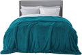 Bedsure GentleSoft Fluffy Turquoise Teal Blankets Queen Size by Unknown