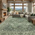 RELEANY Washable Area Rug, Large 9'x12', Water Repellent, Pet Friendly by RELEANY