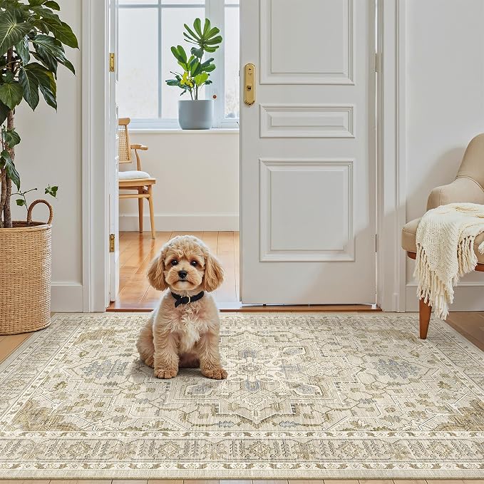 Madane Washable Entry Rug 3x4 Area Rugs - Image 2