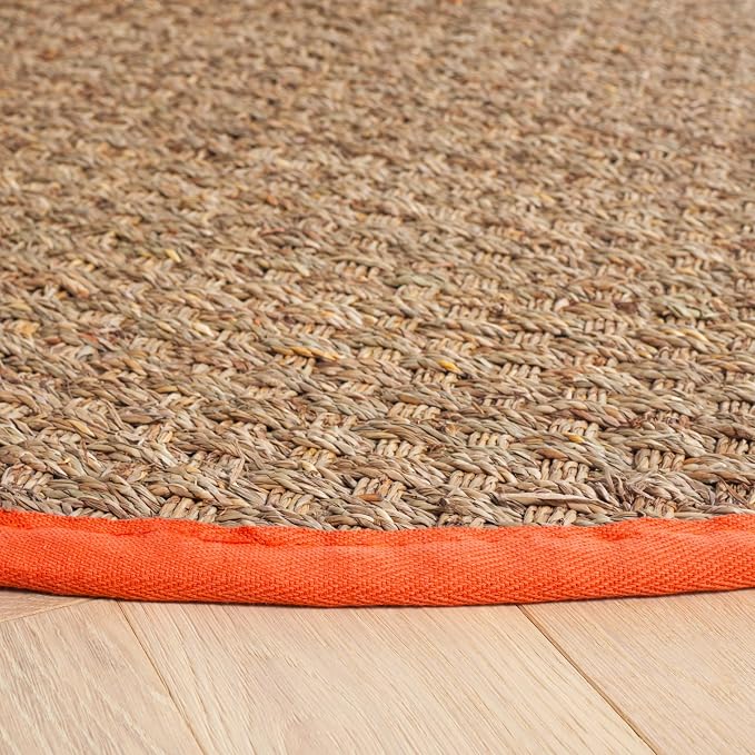 SAFAVIEH Area Rug 6' Round - Image 4