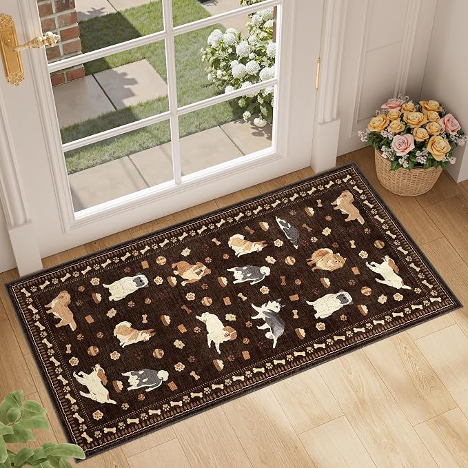 DUKINO 2x4 Rug Runner, Washable Dog Bathroom Rug Soft Non Slip, Non-Shedding by DUKINO