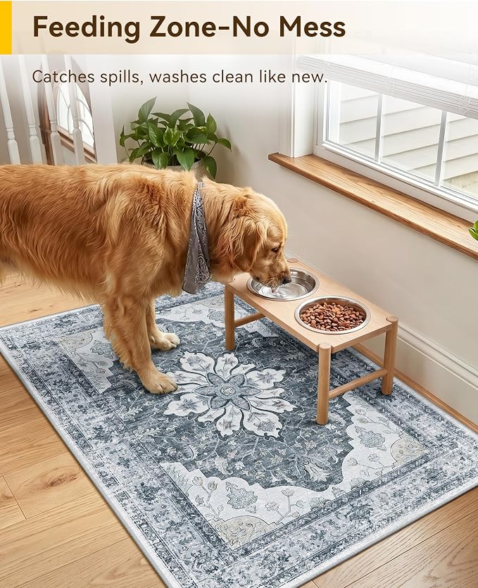 RELEANY Washable Area Rug, Small 2'x3', Water Repellent, Pet Friendly, Vintage - Image 4