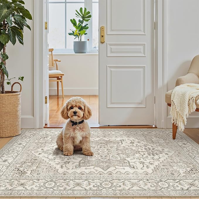 Madane Washable Entry Rug 3x4 Area Rugs - Image 4