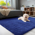OLANLY 3x4 Machine Washable Accent Rug, Soft Fluffy Shaggy Area Rug by OLANLY