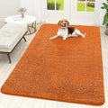 OLANLY Dog Door Mat for Muddy Paws 70x46, Super Absorbent Chenille Mud Mat | by OLANLY