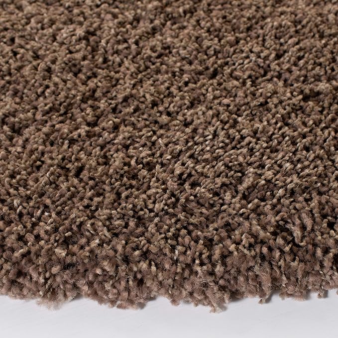 SAFAVIEH Area Rug 11x15 - Image 7