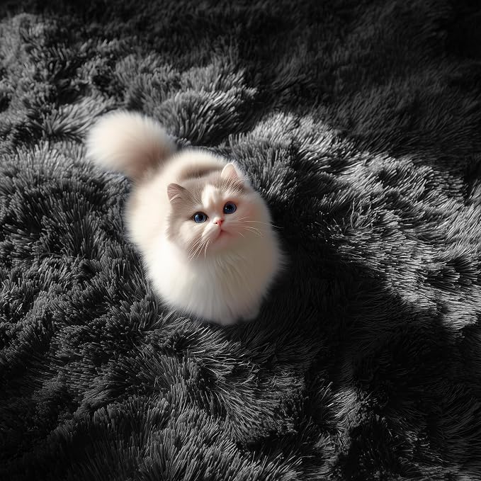 Black Fluffy Area Rugs for Bedroom 5x7, Soft Shaggy Washable Farmhouse Rugs | - Image 7