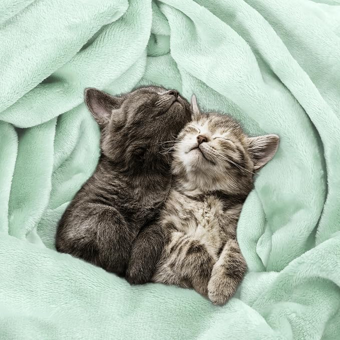 Utopia Bedding Soft Fleece Bed Blanket Twin Size Mint Green | Microfiber Plush - Image 4