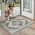 Madane Washable Area Rug 2x3 Small Entryway Rugs Non-Slip, Low Pile Floor Carpet by Madane