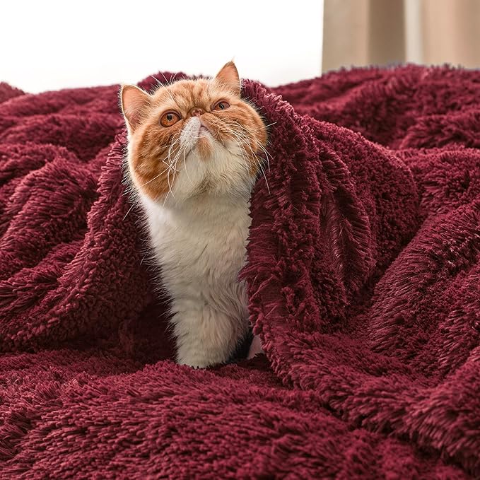 Bedsure GentleSoft Fluffy Burgundy Red Throw Blanket, Maroon Red Decor Gifts for Women, Soft Cozy Fuzzy Sherpa Fleece Plush Thick Warm Faux Fur Throws for Couch, Bed, Christmas Blanket for Mom, 50x60