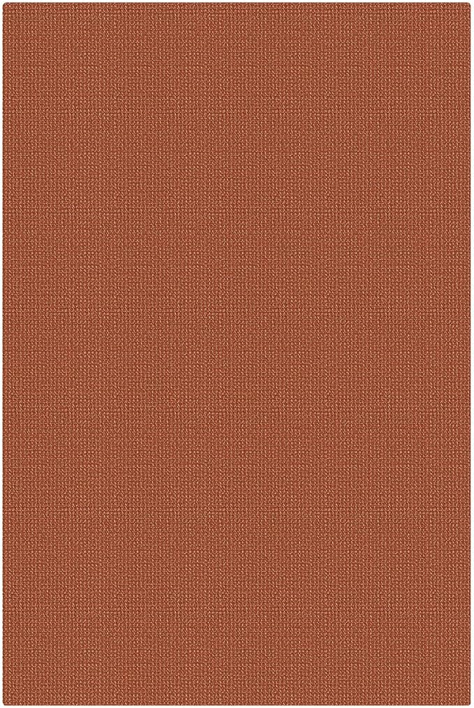 KOZYFLY Washable 4x6 Entry Woven Area Rug, Braided Throw Rugs - Image 9