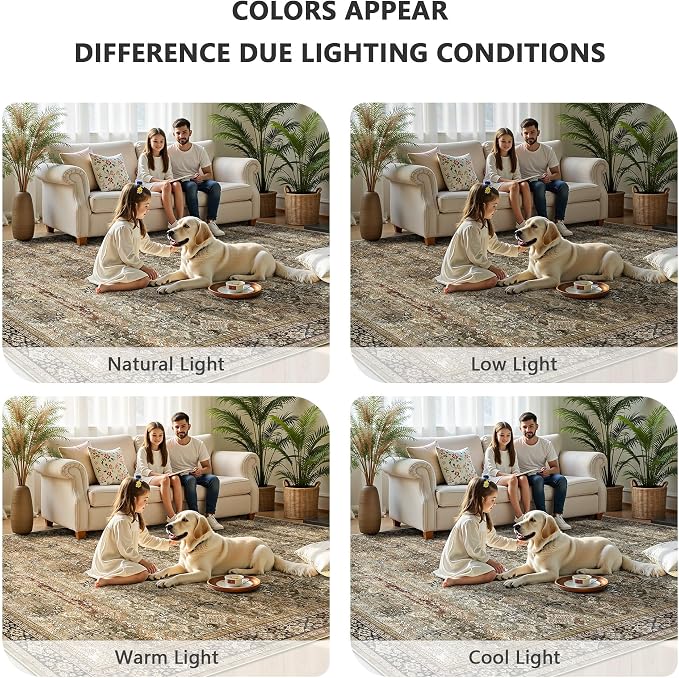 10x14 Area Rugs for Living Room - Image 7