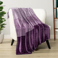 PAVILIA Purple Ombre Fleece Throw Blanket for Couch, Soft Flannel Blanket for Sofa Bed Room, Plush Lightweight Light Lavender Lilac Gradient Blanket, Cozy Microfiber Decorative Gift Throw, 50x60