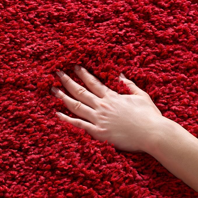 SAFAVIEH Area Rug 4x6 by Unknown