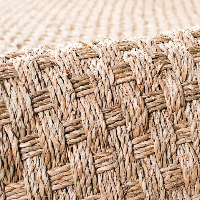 SAFAVIEH Area Rug 9x12 - Image 8
