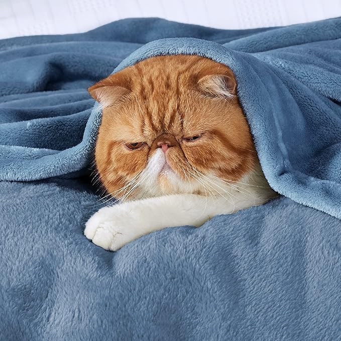Bedsure GentleSoft Fleece Blankets Queen Size Washed Blue - Bed Blanket Soft Lightweight Plush Fuzzy Cozy Luxury Microfiber, 90x90 inches