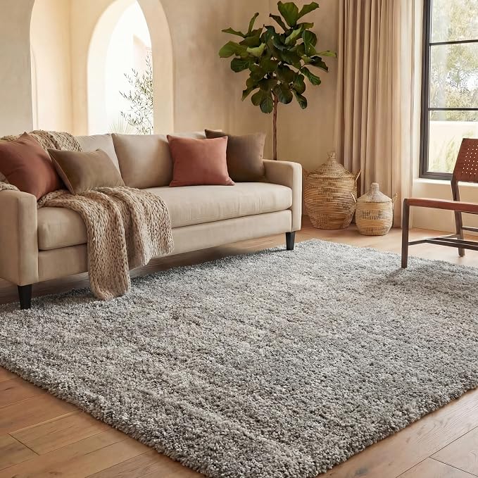 SAFAVIEH Area Rug 11x15 - Image 14