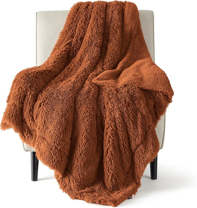 Bedsure GentleSoft Fluffy Burnt Orange Throw Blanket Fall Decorations by Unknown