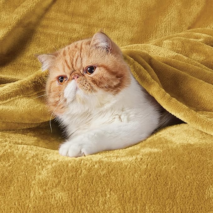 Bedsure GentleSoft Twin XL Fleece Blanket Dorm Bedding - Lightweight Soft Cozy Blankets for Bed, Sofa, Couch, Travel, Camping, Yellow, 66"x90"
