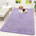 OLANLY Dog Door Mat for Muddy Paws 70x46, Super Absorbent Chenille Mud Mat | by OLANLY