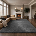Ophanie Area Rugs 9x12 Living Room, Large Grey Bedroom Carpet, Big Shag Indoor by Ophanie