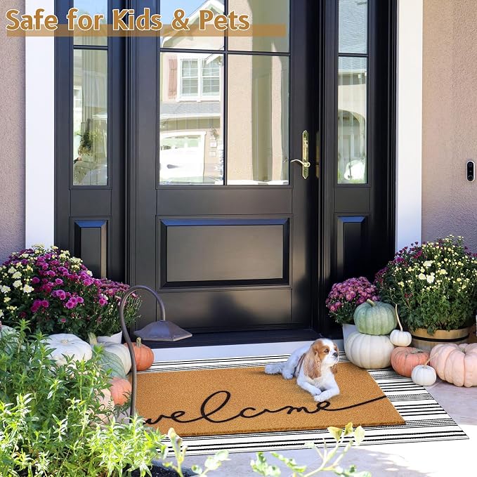 2 Pcs Summer Door Mat, Coco Coir Welcome Doormat - Image 3
