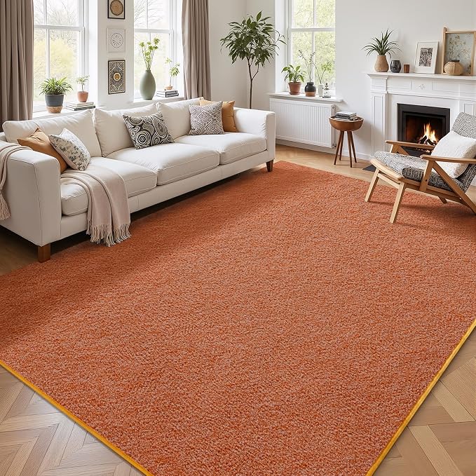 5x7 Area Rugs for Living Room Non Slip Dorm Bedroom Rug, Minimalist Washable by AROGANAREARUG