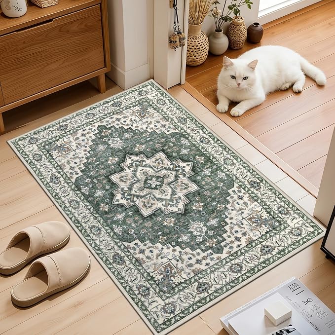 2x3 Area Rugs Living Room: Washable Rug - Image 2