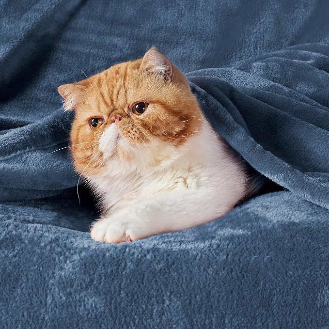Bedsure GentleSoft Fleece Blanket Twin Size Blue - Image 2