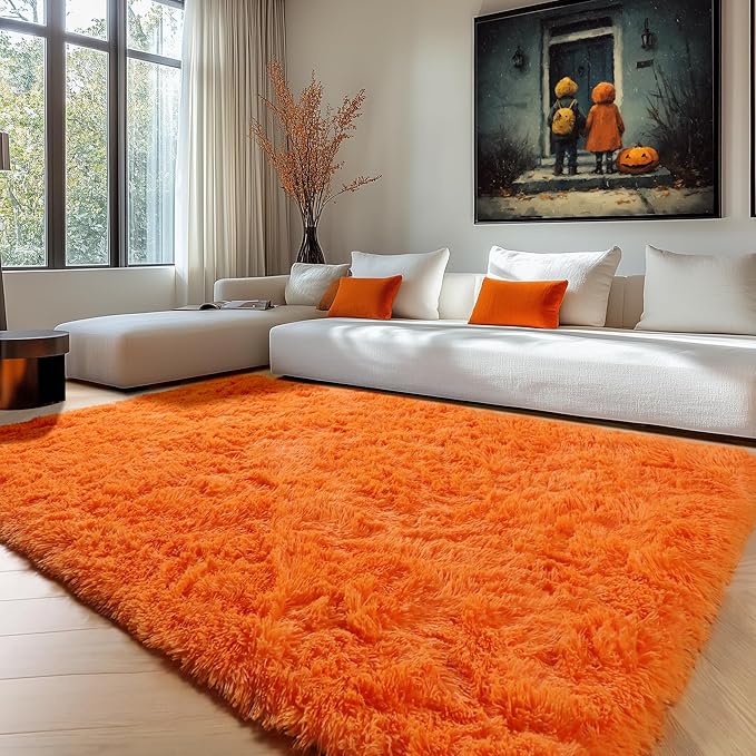 Orange Rugs for Living Room Bedroom, 5x8 Fluffy Bedside Area Rug, Soft Plush by ONASAR
