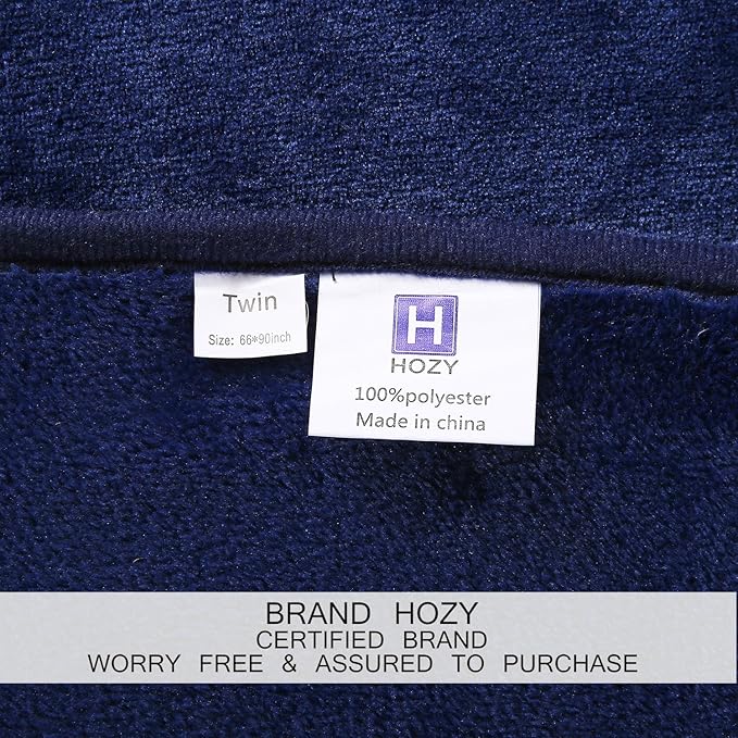 Soft Queen Size Blanket All Season Warm Fuzzy Microplush Lightweight Thermal Fleece Blankets for Couch Bed Sofa,90x90 Inches,Royal Blue